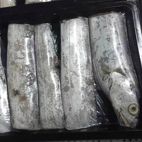 &#28216;&#33351;&#20250;&#40;&#20013;&#25991;&#41;&#23448;&#26041;&#32593;&#31449;